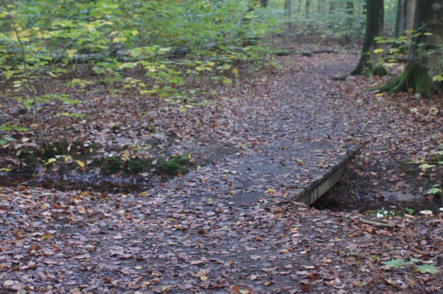 dsc08752.jpg
