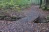 dsc08752_small.jpg