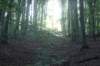 dsc08754_small.jpg