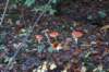 dsc08755_small.jpg