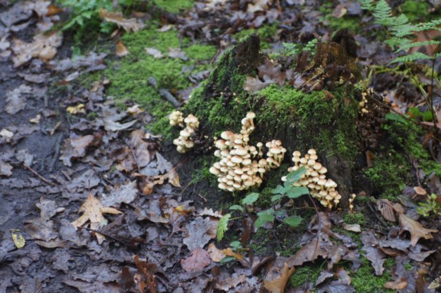 dsc08757.jpg