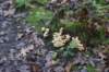 dsc08757_small.jpg