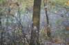 dsc08758_small.jpg