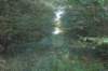 dsc08759_small.jpg