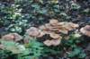 dsc08760_small.jpg