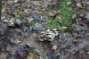 dsc08761_small.jpg