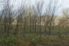 dsc08764_small.jpg