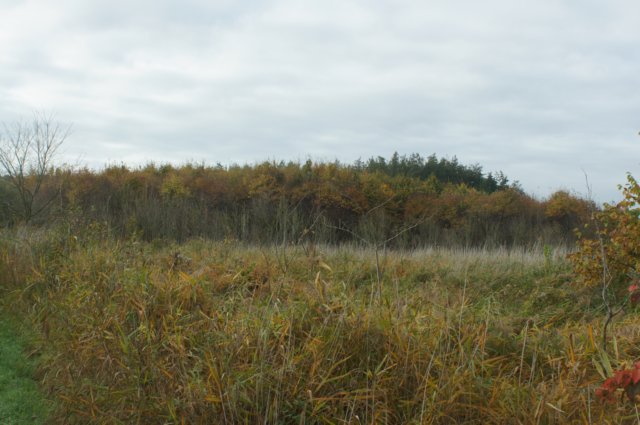 dsc08765.jpg