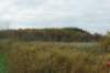 dsc08765_small.jpg