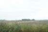dsc08766_small.jpg