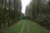 dsc08770_small.jpg