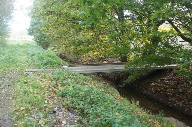 dsc08771.jpg