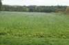 dsc08774_small.jpg