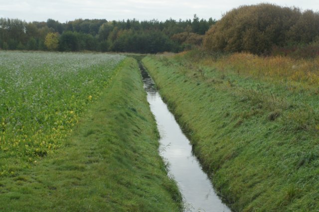 dsc08775.jpg