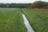 dsc08775_small.jpg