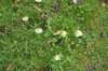 dsc08777_small.jpg