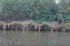 dsc08778_small.jpg