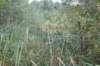 dsc08779_small.jpg