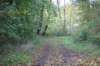 dsc08784_small.jpg