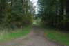 dsc08786_small.jpg
