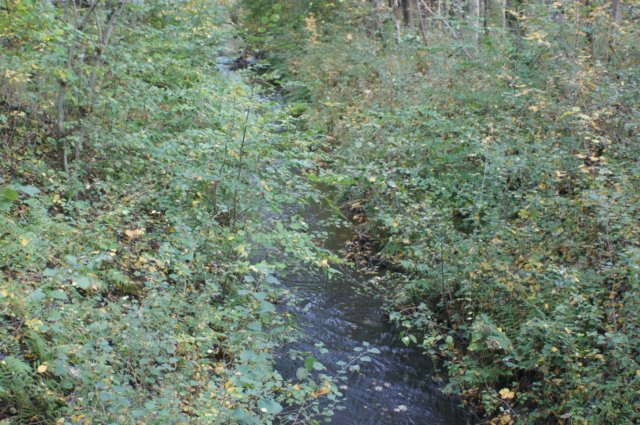 dsc08789.jpg