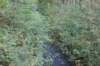 dsc08789_small.jpg