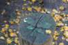 dsc08792_small.jpg