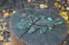 dsc08793_small.jpg