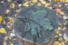 dsc08794_small.jpg