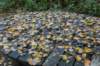 dsc08795_small.jpg