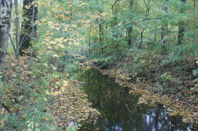 dsc08796.jpg