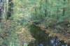 dsc08796_small.jpg