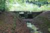 dsc08802_small.jpg