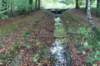 dsc08803_small.jpg