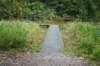 dsc08804_small.jpg