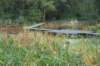 dsc08806_small.jpg