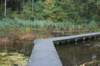 dsc08807_small.jpg