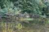 dsc08808_small.jpg