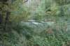 dsc08811_small.jpg