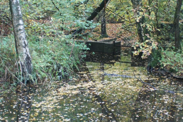dsc08813.jpg