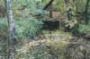 dsc08813_small.jpg