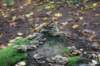 dsc08814_small.jpg
