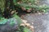 dsc08816_small.jpg