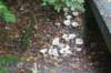 dsc08820_small.jpg