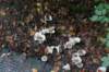 dsc08821_small.jpg