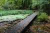 dsc08822_small.jpg