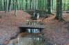 dsc08823_small.jpg
