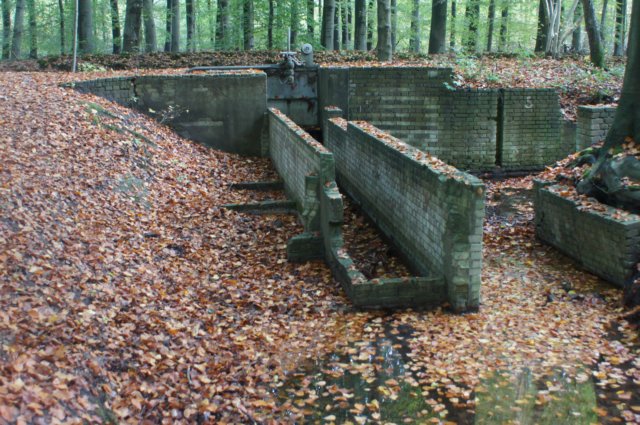 dsc08824.jpg