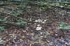 dsc08825_small.jpg