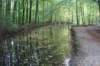 dsc08826_small.jpg